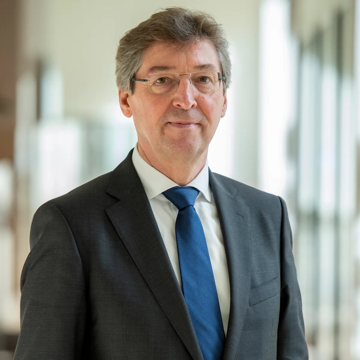 Aleid Wolfsen — afbeelding