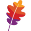 Favicon van website Apache Software Foundation