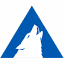 Favicon van website Arctic Wolf