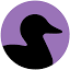 Favicon van website Black Duck