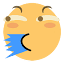 Favicon van website Ferstar