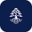 Favicon van website Bonsai Software