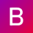 Favicon van website Brightlands Data & AI Campus