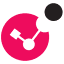 Favicon van website Check Point Software Technologies