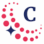 Favicon van website Clean Networks