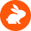 Favicon van website CodeRabbit