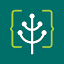 Favicon van website Green Software Foundation
