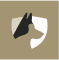 Favicon van website Kynexis