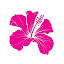 Favicon van website Luta Security