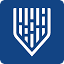 Favicon van website Mindgard