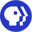 Favicon van website PBS NewsHour