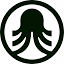 Favicon van website Supervised