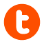 Favicon van website TNGlobal