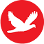 Favicon van website Tech Observer